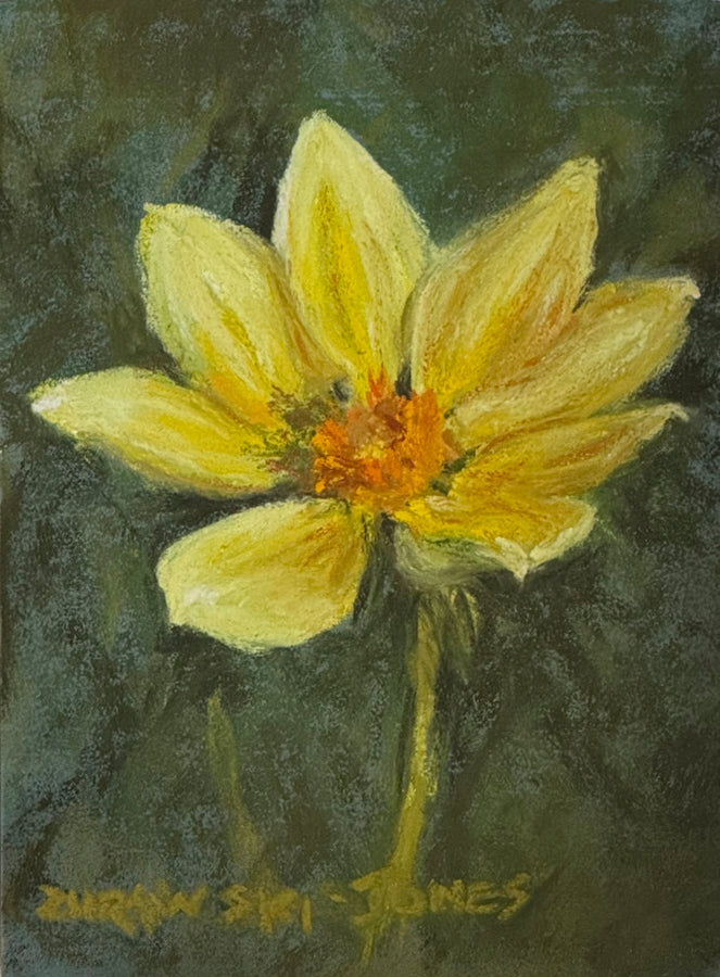 "Golden Dahlia" pastel