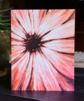 "Cape Marguerite" greeting card